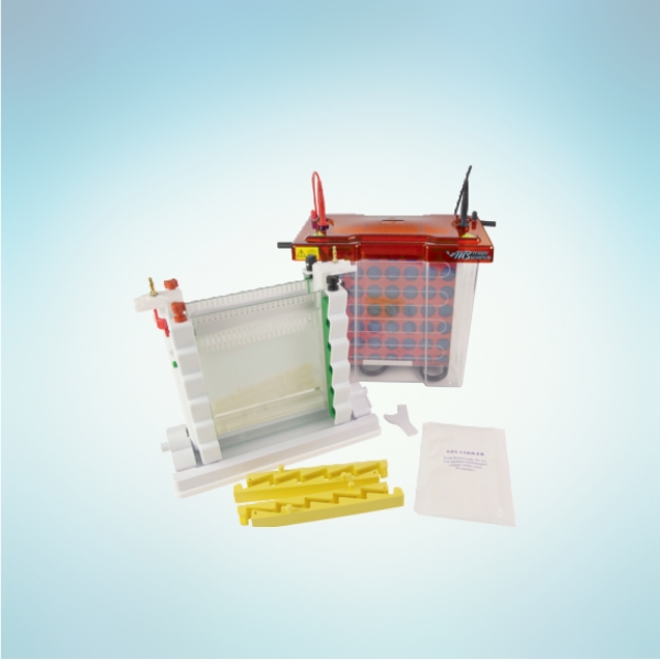 Maxi WAVE Vertical Electrophoresis