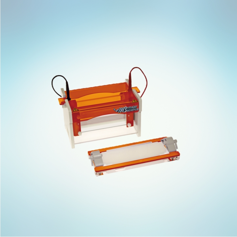 Mini Wide Vertical Gel Electrophoresis