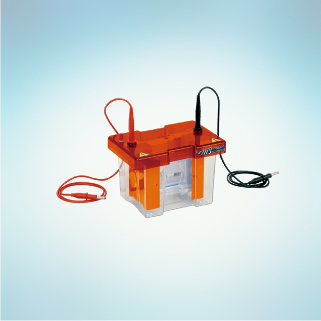 Mini Vertical Gel Electrophoresis