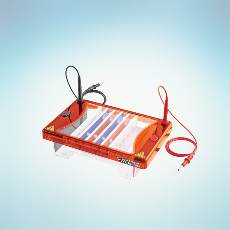 Midi plus-2 Horizontal Electrophoresis